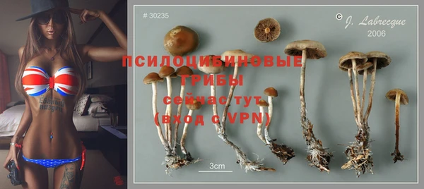 2c-b Гусев