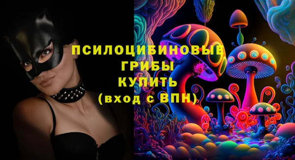 ECSTASY Дмитров