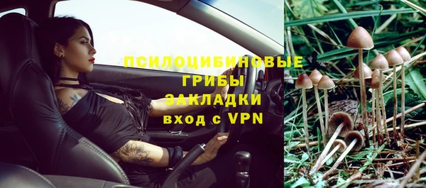 ECSTASY Дмитров