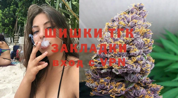 2c-b Гусев