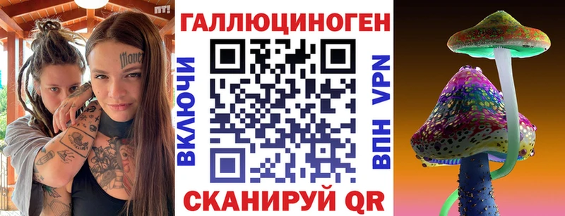 Псилоцибиновые грибы Psilocybe  Новочебоксарск 